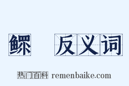 鳏惸反义词是什么意思的图片